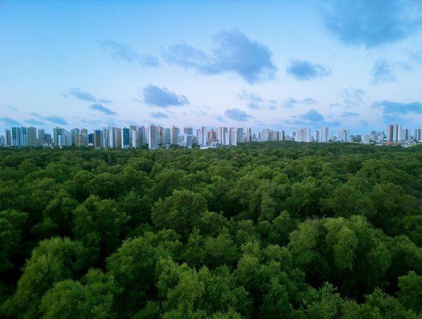Découvrez les meilleures plages familiales de la costa dorada