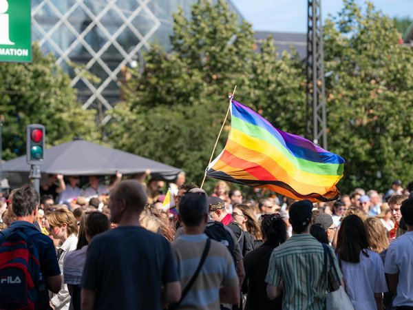 Découvrez l'univers fascinant des jeux de société coopératifs : une aventure à partager ! slugslug