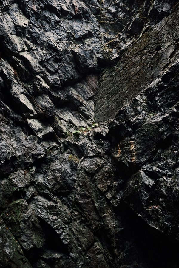 Shilajit : la résine aux vertus incomparables pour la santé